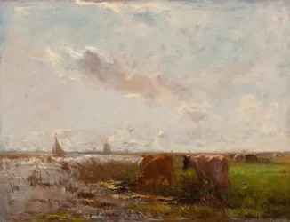 Vacas en un paisaje de pólder